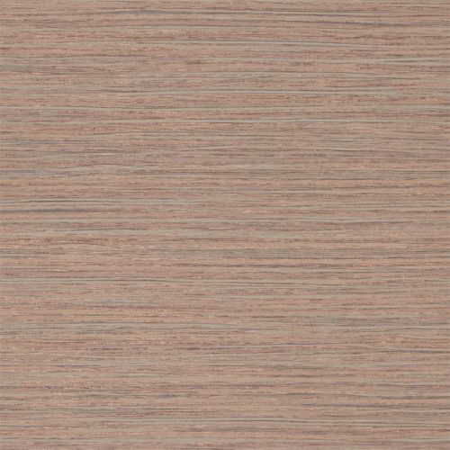 Oralia 111439